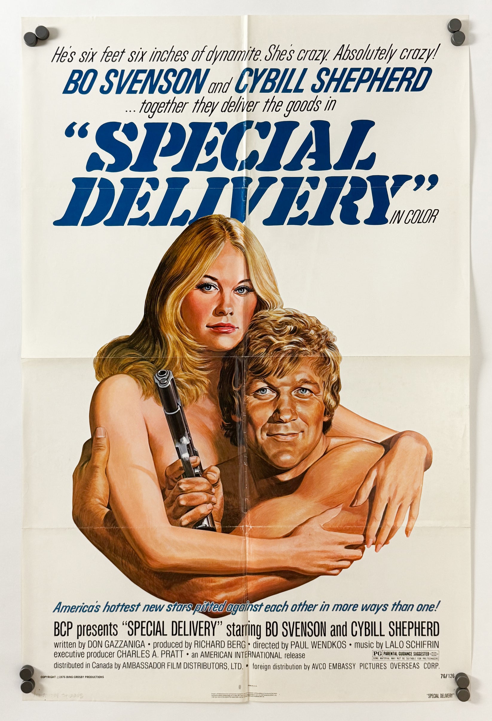 Original Vintage Special Delivery Movie Poster